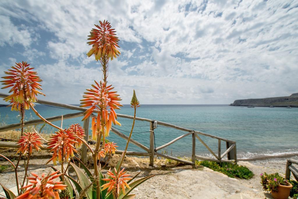 Káto Zákros Coral Front Beach חדר תמונה