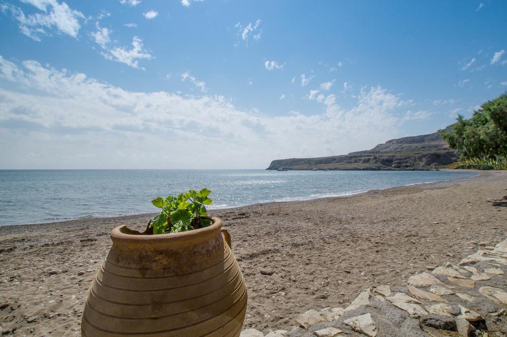 Káto Zákros Coral Front Beach חדר תמונה
