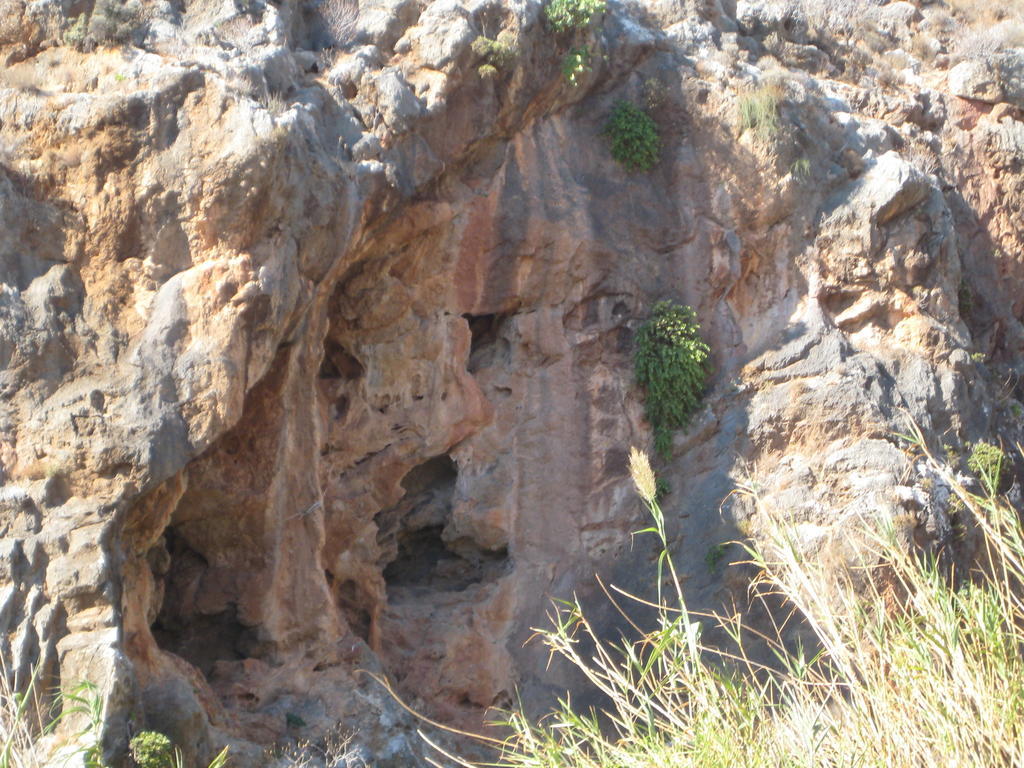 Káto Zákros Coral Front Beach מראה חיצוני תמונה