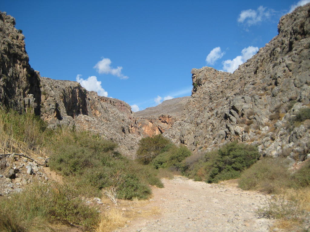 Káto Zákros Coral Front Beach מראה חיצוני תמונה