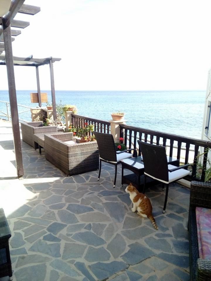Káto Zákros Coral Front Beach מראה חיצוני תמונה